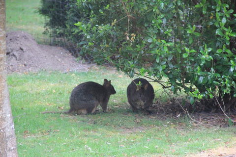 Tamar Valley Farm Stay - Accommodation Perth 1