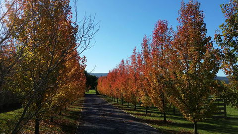 Tamar Valley Farm Stay - Accommodation Perth 3