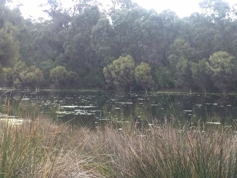 Telperon (2 Rooms, 3-4 Guests) - Accommodation Perth 1
