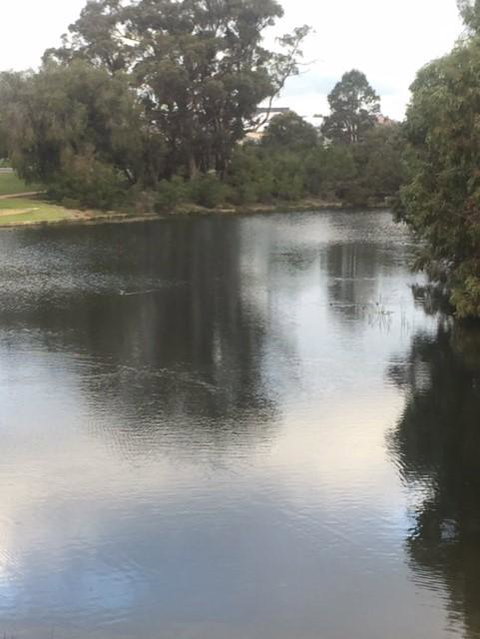 Telperon (2 Rooms, 3-4 Guests) - Accommodation Perth 3