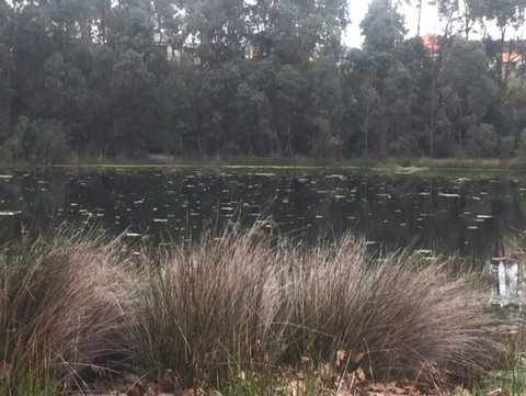 Telperon (2 Rooms, 3-4 Guests) - Accommodation Perth 2