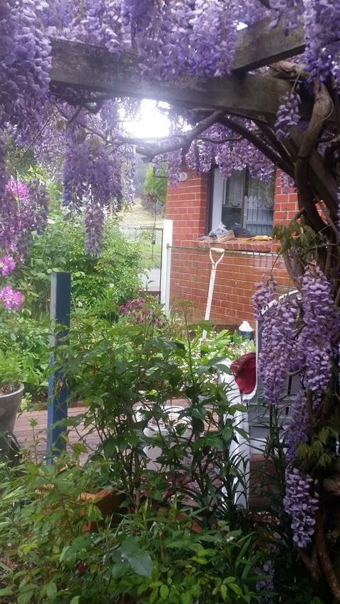 Birch Lane - Accommodation Perth 41