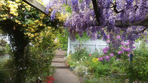Birch Lane - Accommodation Perth 20