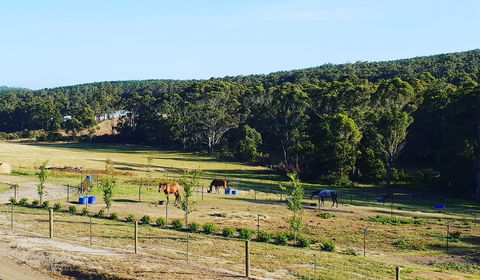 Lockleigh Park - Accommodation Perth 19