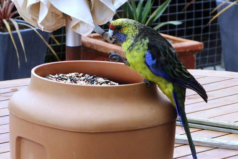 THE LOFT @ Bay Of Fires Seascape - Perth Resorts 22