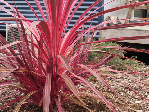 Captain Cook Holiday Park - Accommodation Perth 15