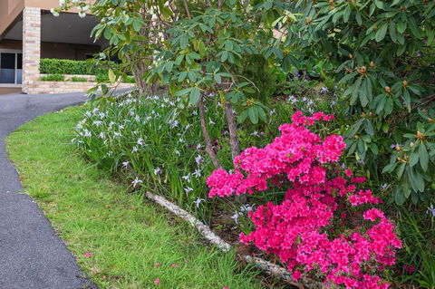 Maria Views Bed & Breakfast - Perth Resorts 2