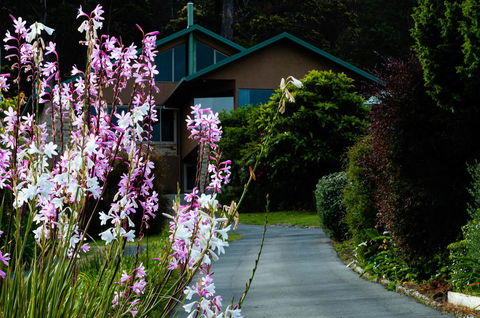 Maria Views Bed & Breakfast - Perth Resorts 6