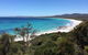 Holland House Bay Of Fires - thumb 15