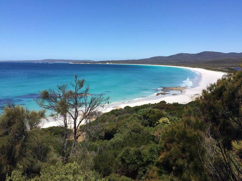 Holland House Bay Of Fires - Accommodation Perth 15