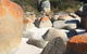 Holland House Bay Of Fires - thumb 5