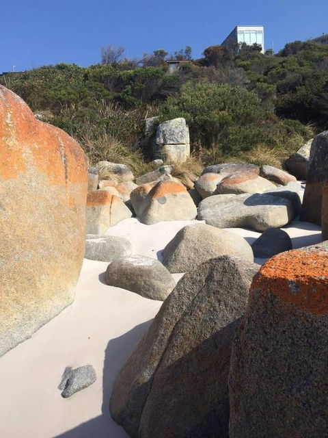 Holland House Bay Of Fires - Accommodation Perth 5