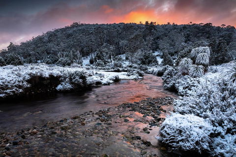 Peppers Cradle Mountain Lodge - Perth Resorts 44