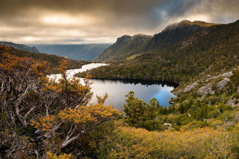 Peppers Cradle Mountain Lodge - Perth Resorts 38
