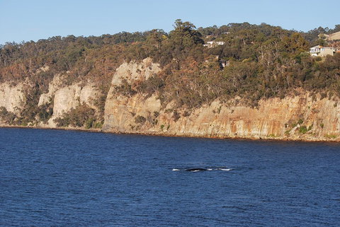 Beachside Taroona With Spa - Perth Resorts 29