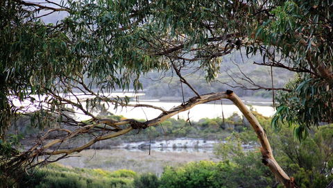 KINGFISHER COTTAGE Beachfront At The Binalong Bay - Accommodation Perth 17