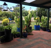 Blue Wren Bungalow - Accommodation Perth