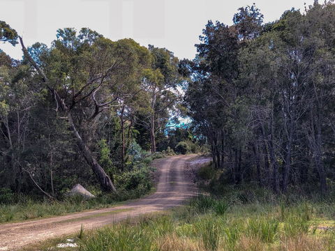 BAY OF FIRES ECO HUT Off Grid Experience At Binalong Bay - Accommodation Perth 12