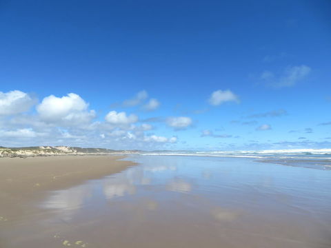 Arthur Riverfront And Sea Lodge Downstream - Perth Resorts 24