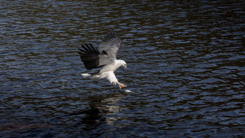 Arthur Riverfront And Sea Lodge Downstream - Perth Resorts 38