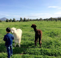 Taras Richmond Farmstay - Perth Resorts