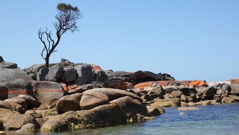 BAY OF FIRES SEACHANGE Ocean Frontage - Accommodation Perth 21