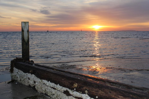 Boathouse Resort Studios And Suites - Perth Resorts 28