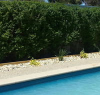 Robinvale Bridge Motel - Perth Resorts