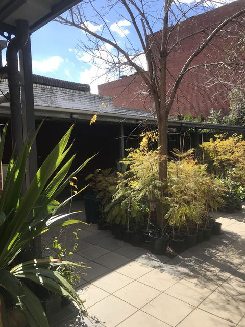 CROWN CENTRAL BUSINESS DISTRICT MOTEL - NO UNDER 18s - Accommodation Perth 21