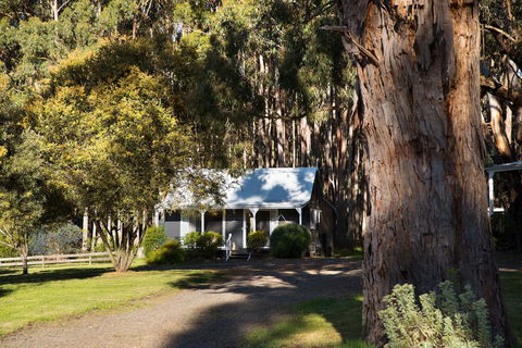 Bodhi Daylesford - Perth Resorts 8