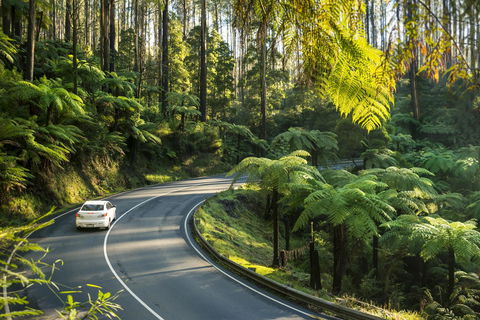 Lithgow Falls Marysville - Accommodation Perth 15