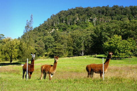 The Heavens Mountain Escape - Accommodation Perth 2