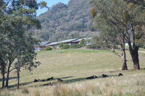 The Homestead At Holmeslgen At Eildon - Accommodation Perth 1