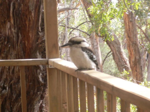 The Ledge Holiday House - Accommodation Perth 0