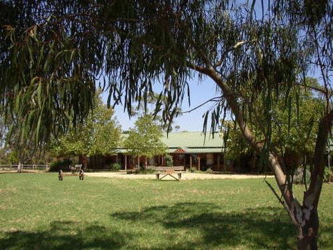 The Vineyard Motel - Accommodation Perth 0
