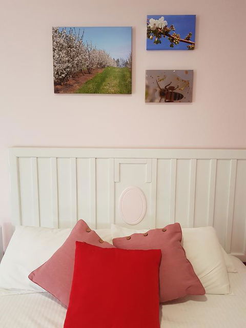 Town House Motor Inn Young - Accommodation Perth 1
