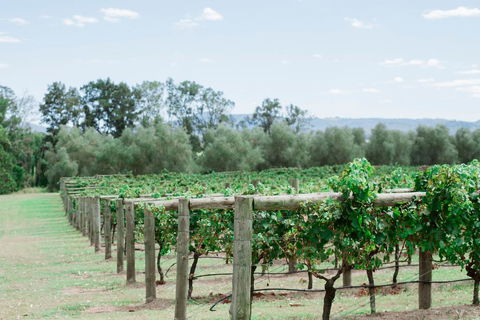 Tranquil Vale Vineyard - Perth Resorts 2