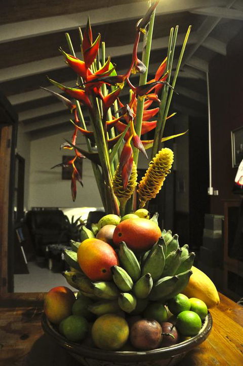 Tropical Bliss Bed And Breakfast - Accommodation Perth 3