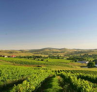 Turners Vineyard Motel - Accommodation Perth