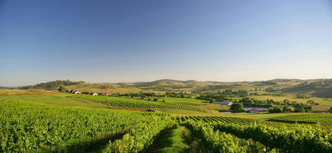 Turners Vineyard Motel - Accommodation Perth 0