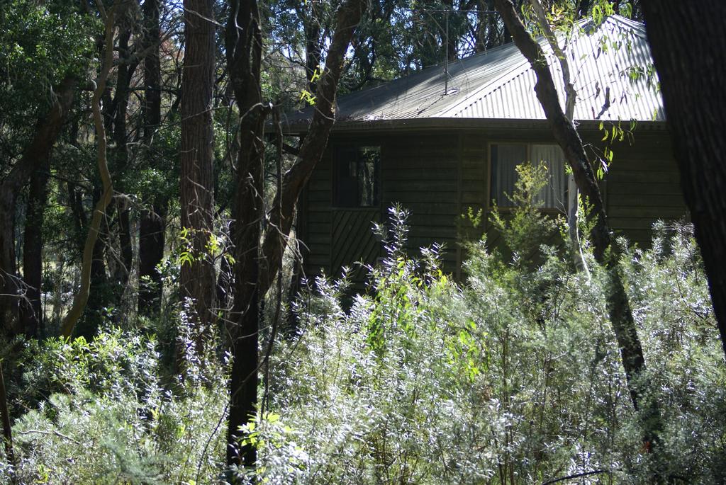 Fitzroy Falls NSW Accommodation Perth