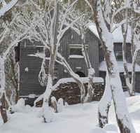 Tyee - Accommodation Perth