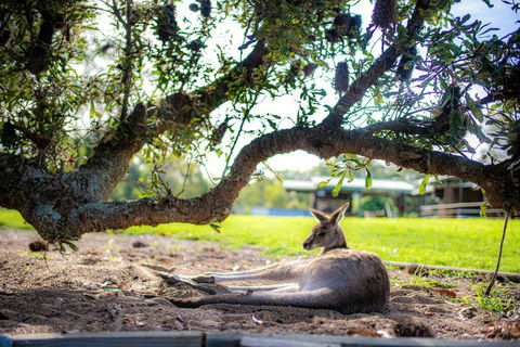 Waterfall Springs Retreat - Accommodation Perth 1