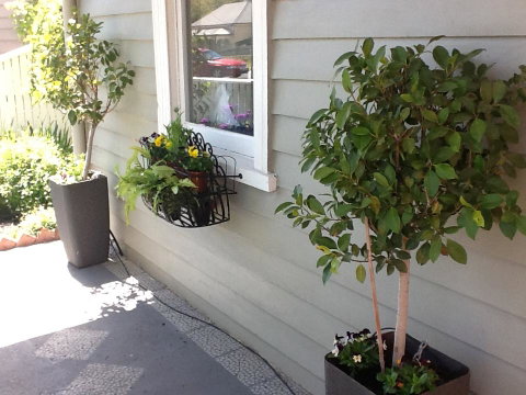 Redruth Cottage - Accommodation Perth 19