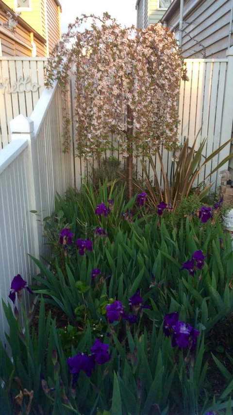 Redruth Cottage - Accommodation Perth 24