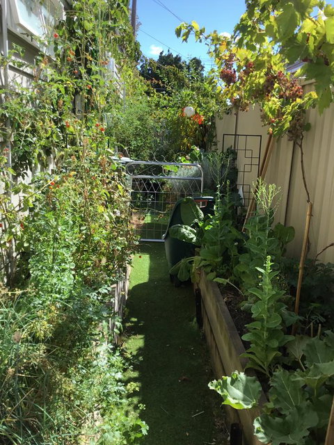 Redruth Cottage - Accommodation Perth 7