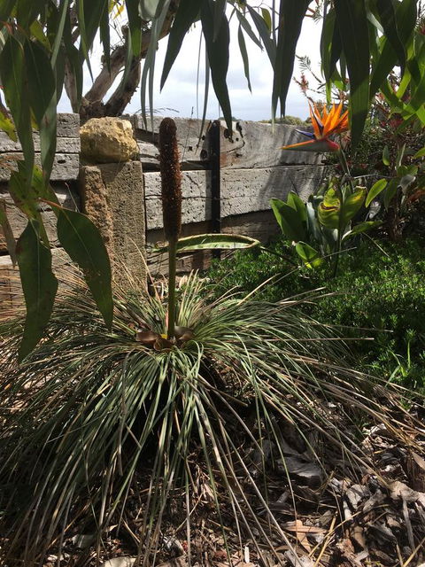 The PC Cottage - Accommodation Perth 32