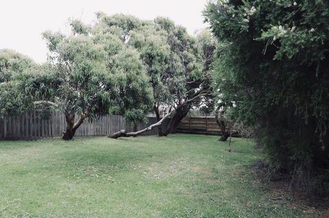 Red Ceder Cottage - Great Ocean Road - Port Campbell - Accommodation Perth 24