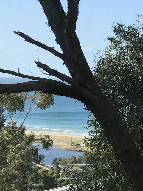Lorne Sea View Terrace House - Accommodation Perth 12