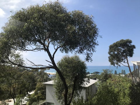 Lorne Sea View Terrace House - Accommodation Perth 26